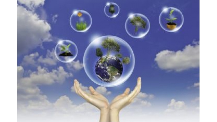 Núcleo de Responsabilidade Social promove palestra sobre sustentabilidade