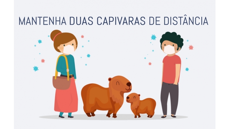 Site da Prefeitura reúne informações completas sobre Coronavírus em Blumenau