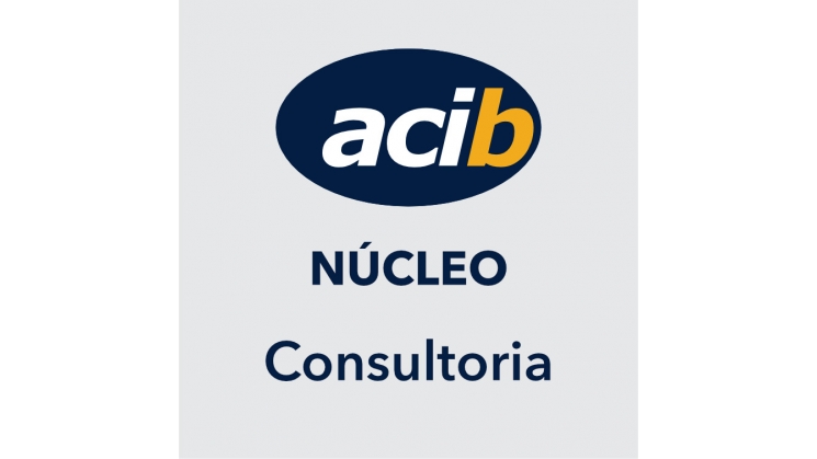 Núcleo de Consultoria faz encontro virtual com Núcleos de outras ACI’s.