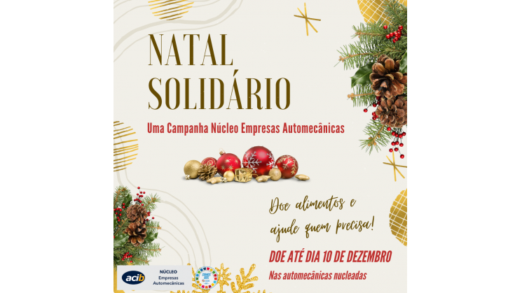 Núcleo de Automecânicas arrecada alimentos para campanha de Natal