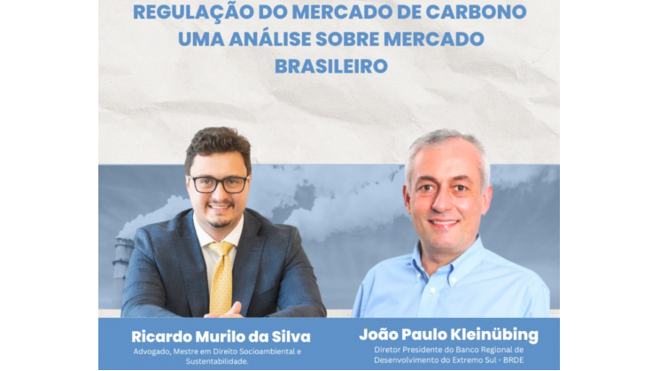 Análise sobre o mercado de carbono brasileiro