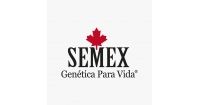 Semex do Brasil