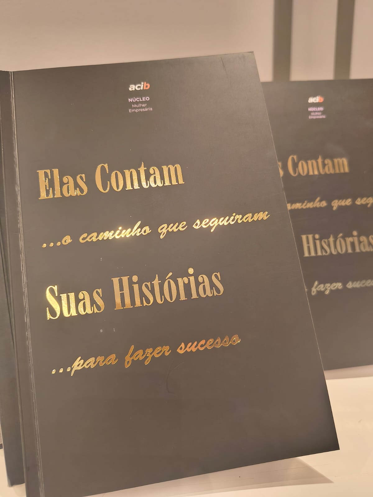 Núcleo Mulher Empresária da ACIB lança novo livro com histórias profissionais e conteúdo empresarial